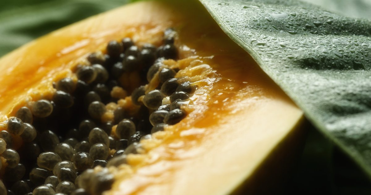 Nutriční hodnota semen papáje