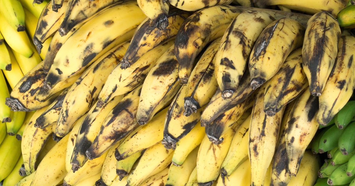 Næringsværdier af Bananer & Plantains