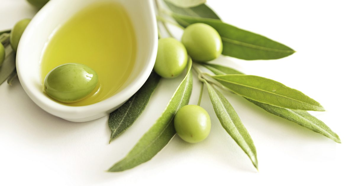 Olivenolie Allergi Symptomer
