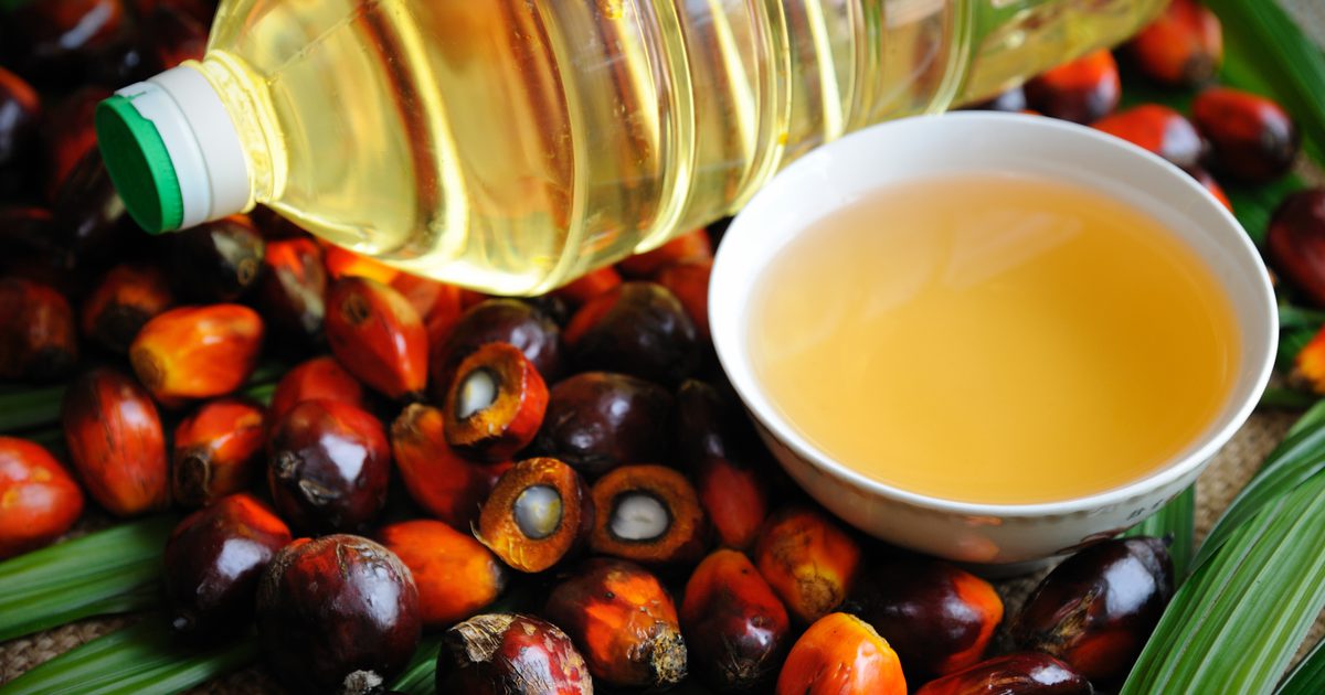 Palm Oil Nutrition Information