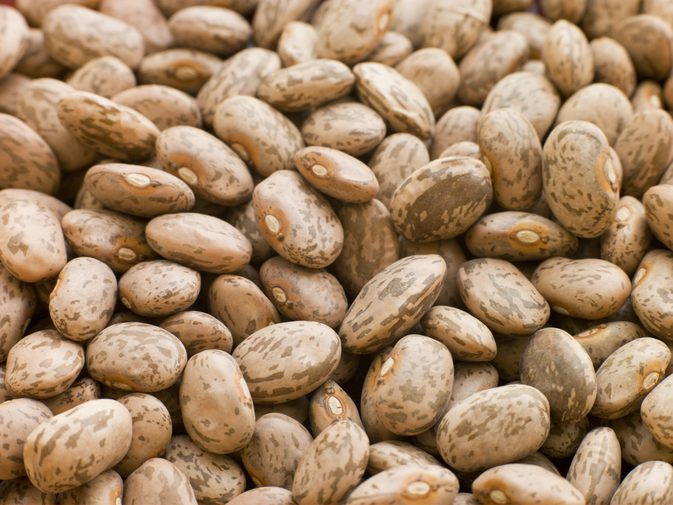 Pinto Beans Nutrition