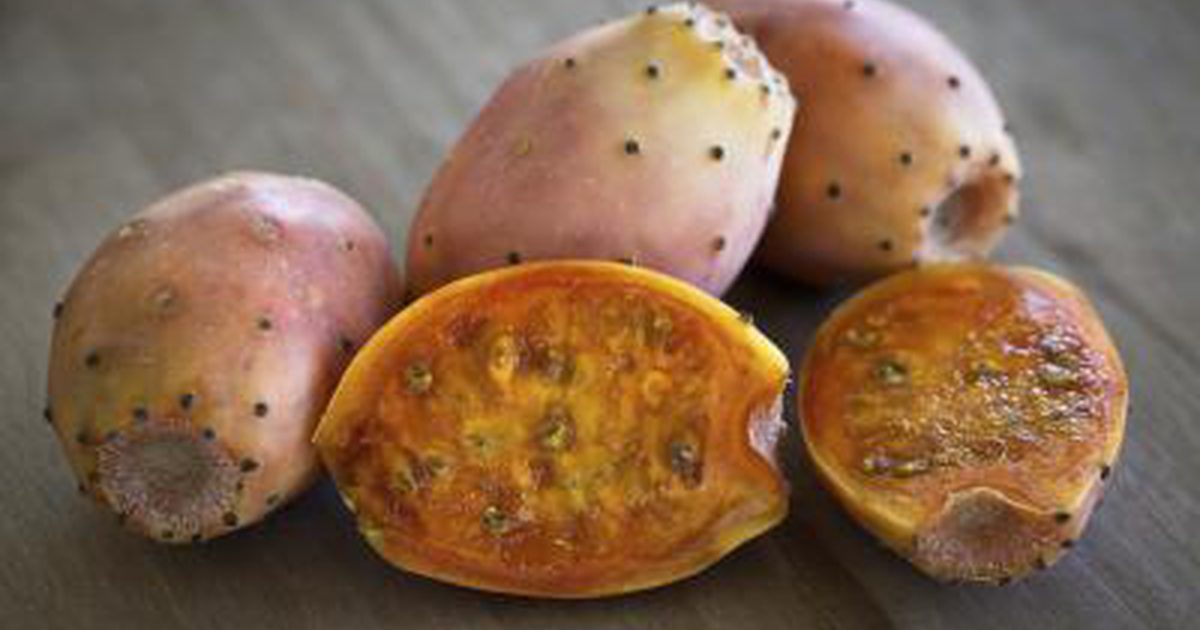 Prickly Pear Næringsverdier