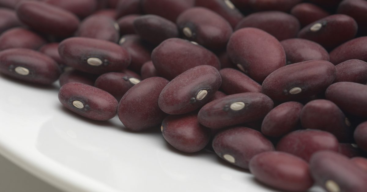 De proteïne in Kidney Beans
