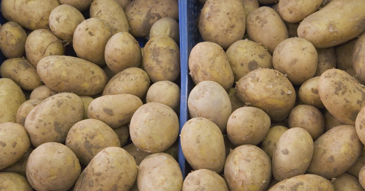 Riskerna med att äta råa potatisar