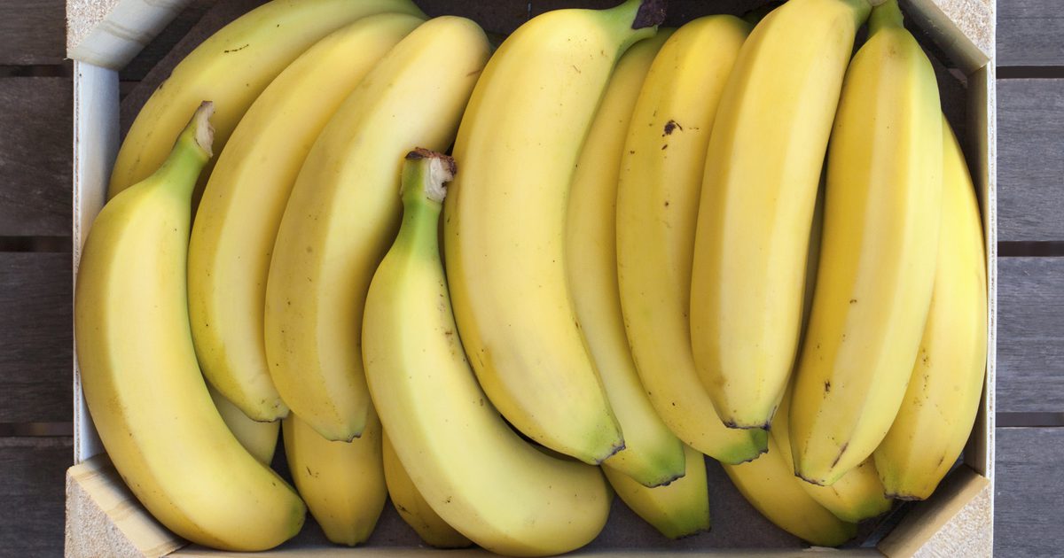 هل يجب علي أكل الموز إذا أردت بناء العضلات؟