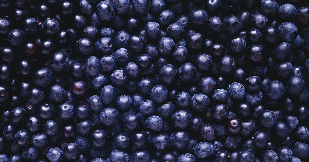 Die Nebenwirkungen der Blueberry Extract Supplement