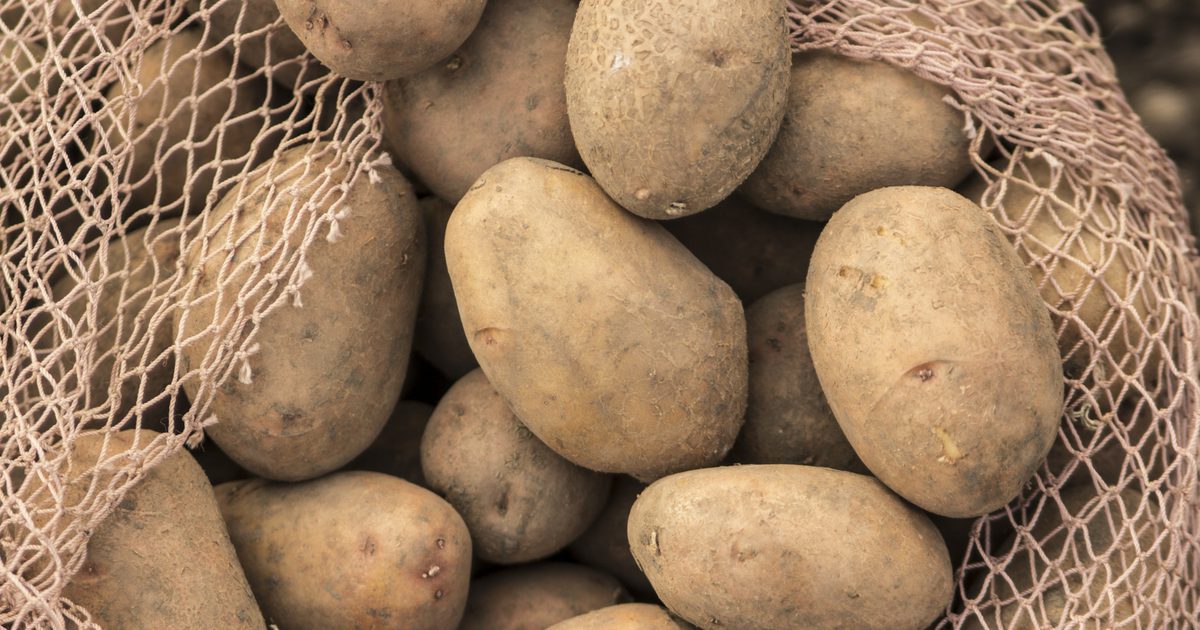 الآثار الجانبية للاكل البطاطس