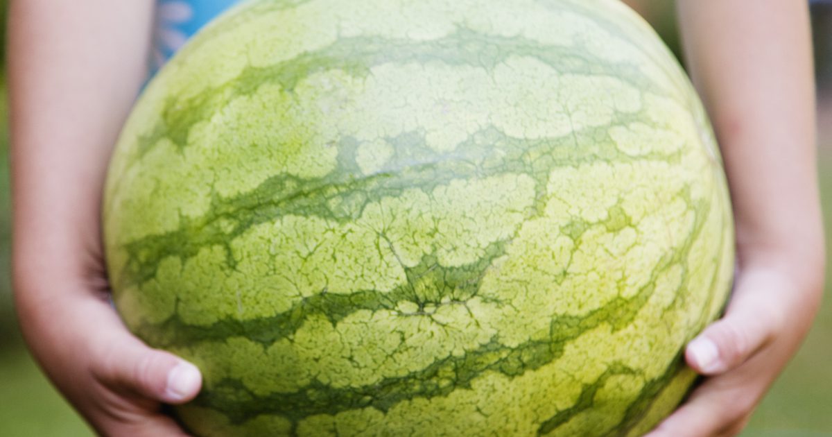 Bijwerkingen van het eten van teveel watermeloen