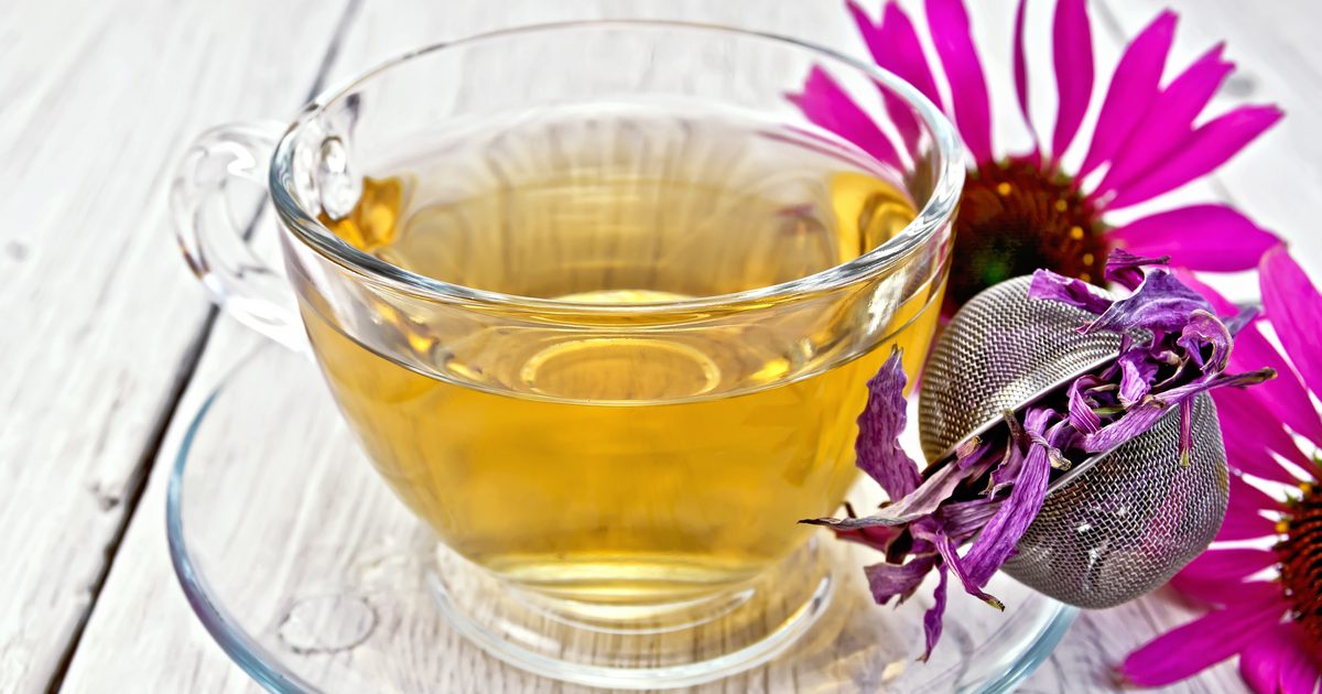Nežiaduce účinky Echinacea čaju