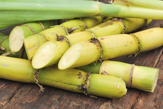 Bivirkninger af sukkerrør ekstrakt