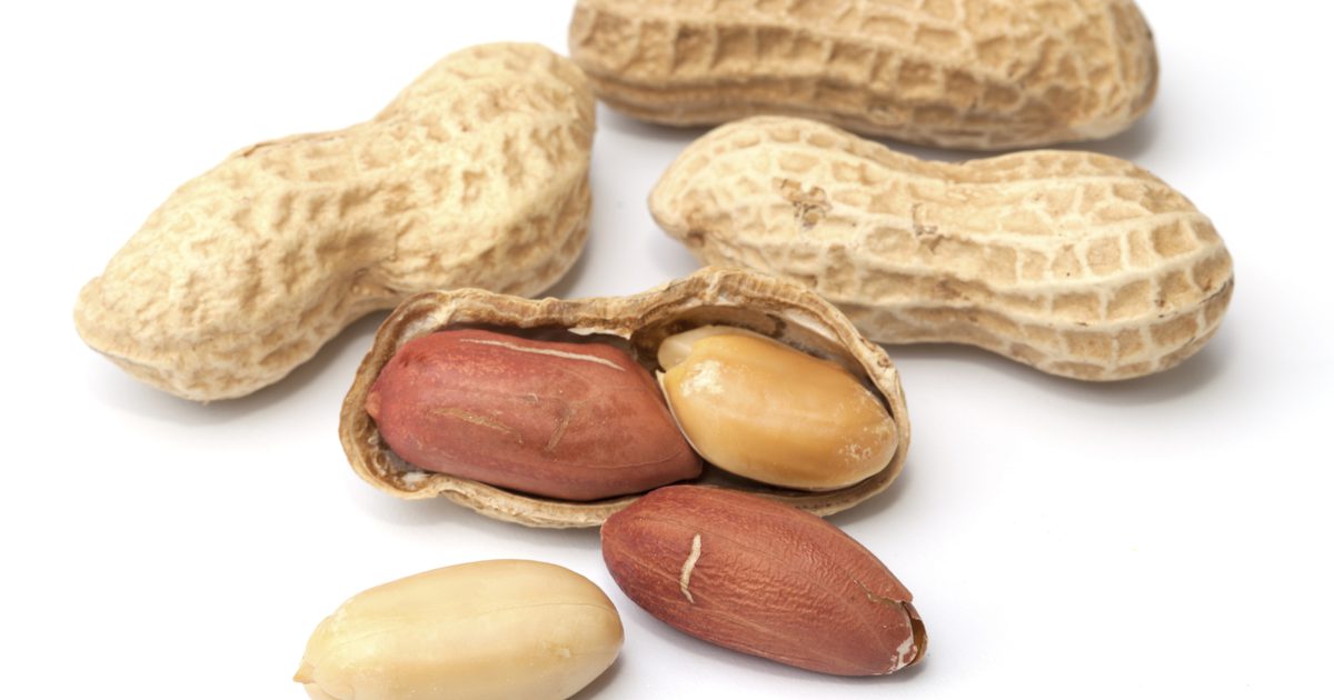 Korenie, ktoré treba vyhnúť, keď sú alergické na arašidy