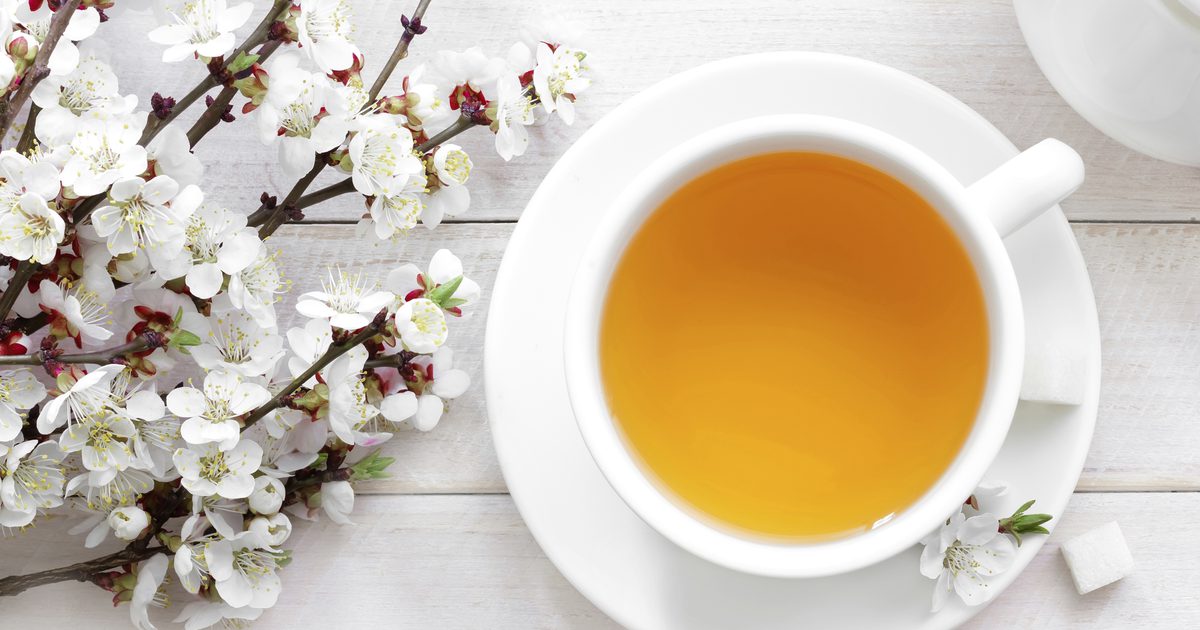 Tazo Passion Tea & Health