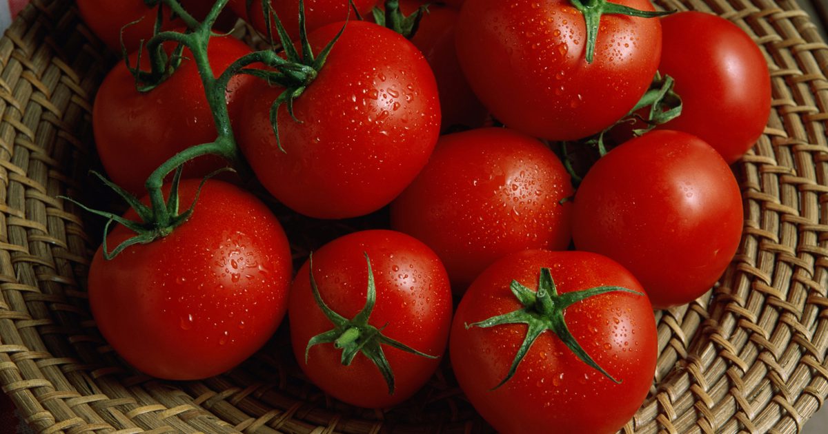 Tomatintolerans och matsmältningssymtom