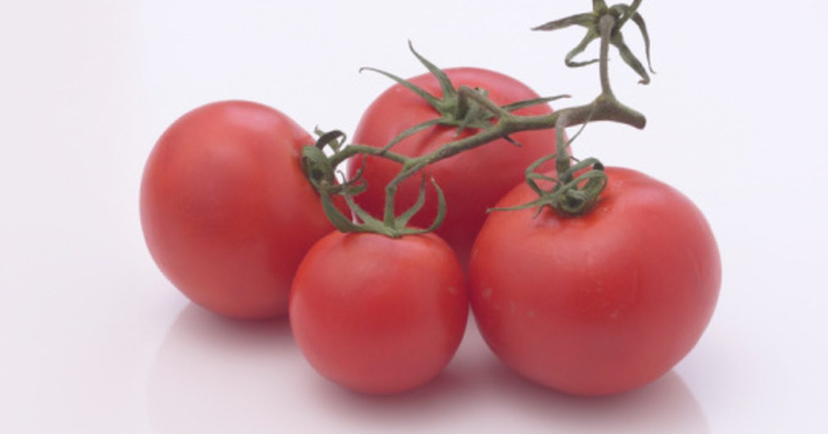 Tomaten und Arthritis