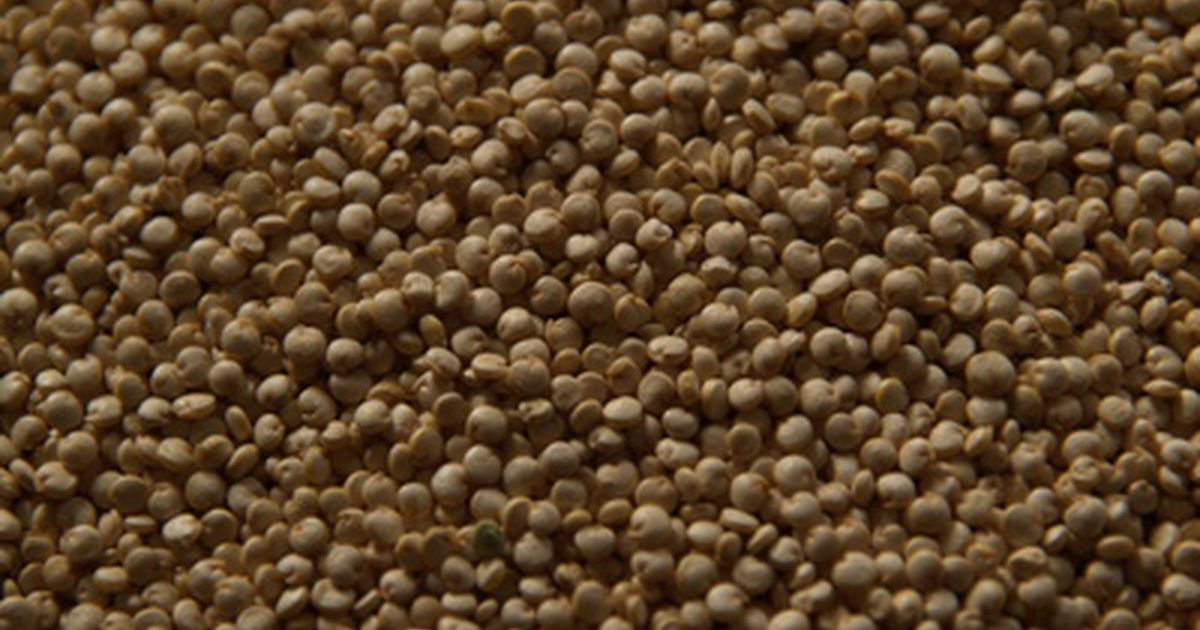 Vegetarisches Protein in Quinoa und Amaranth