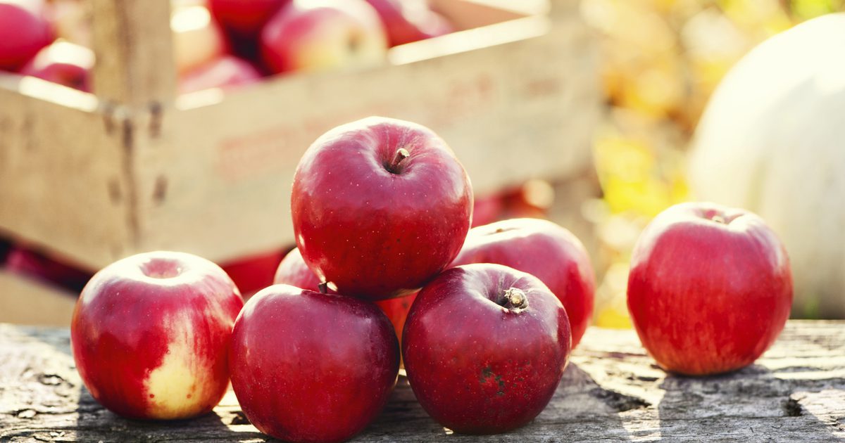 Was sind Apple Polyphenole?