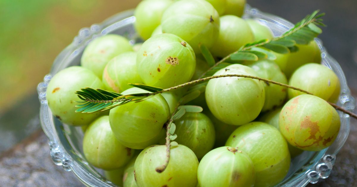 Какви са ползите от Amla Fruit?