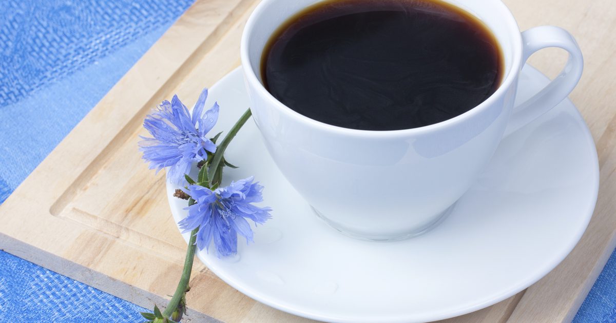 Vad är fördelarna med Chicory Coffee?