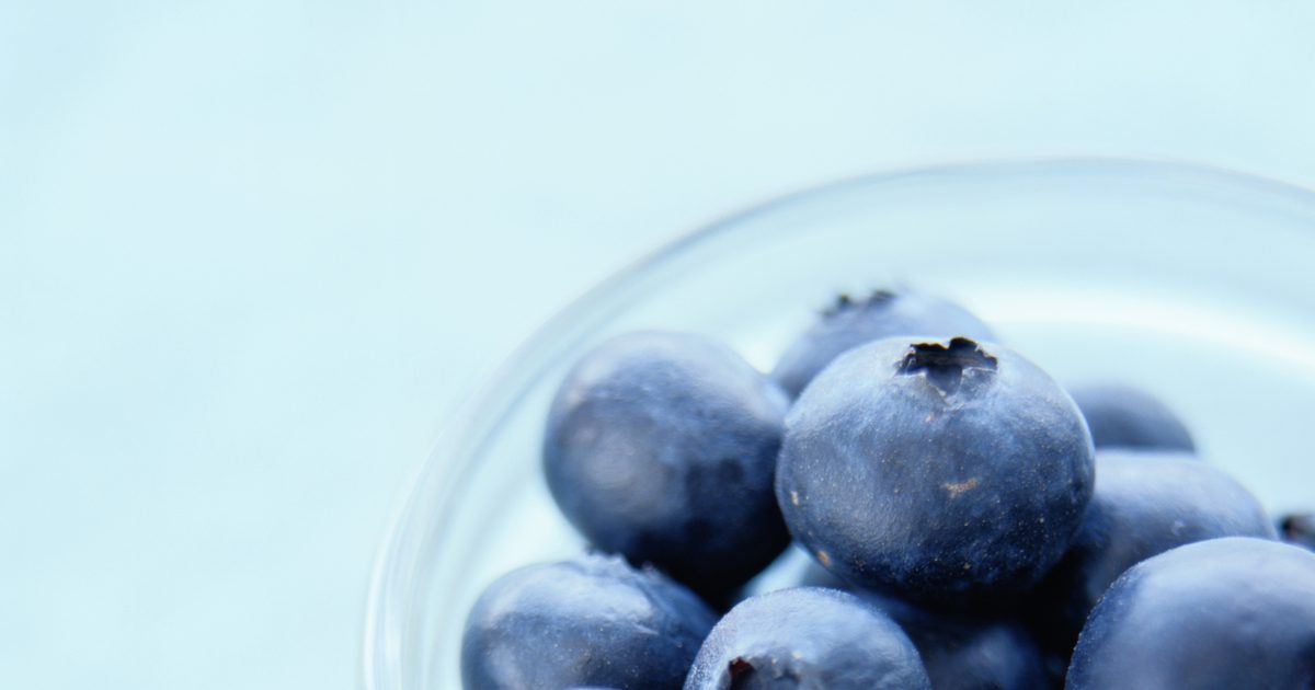 Vad är fördelarna med torkade blåbär?