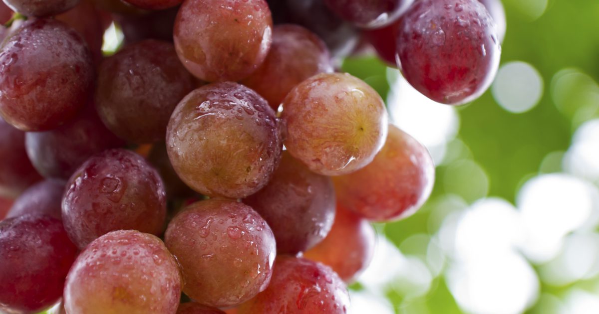 Jakie są zalety jedzenia świeżych czerwonych winogron bez pestek?