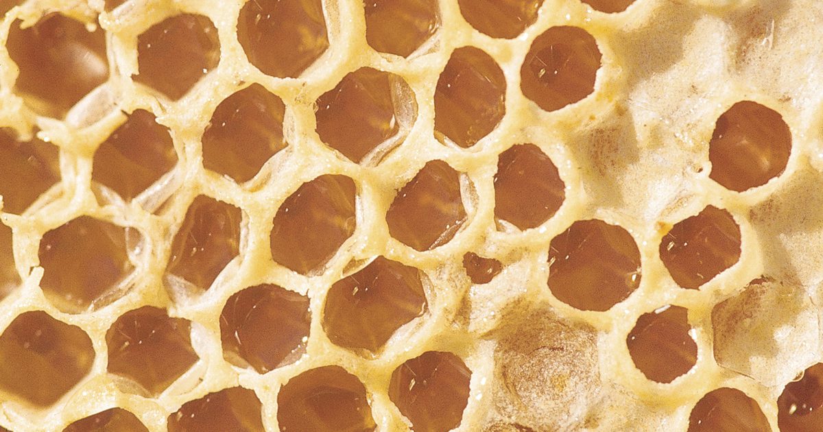 ما هي فوائد تناول العسل؟