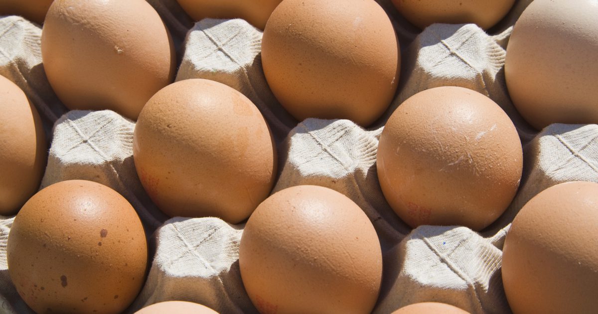 Каковы преимущества яичного белкового белка?