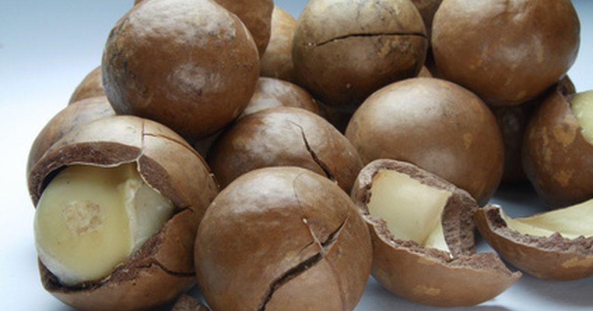 Jaké jsou výhody Macadamia Nut Butter?