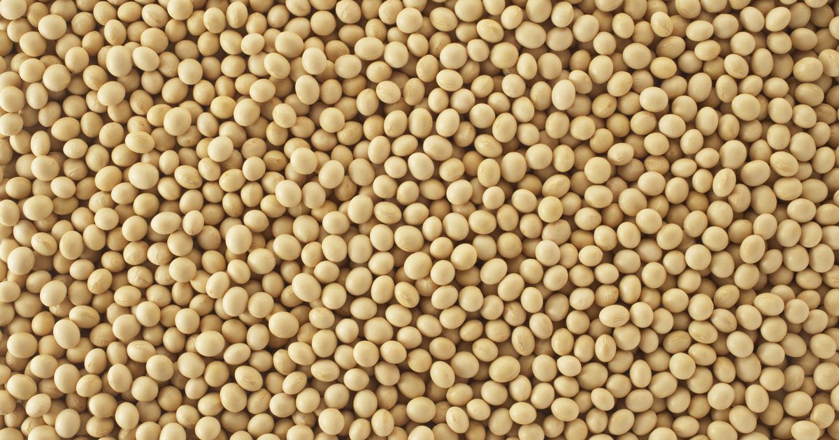 Jakie są zalety granulatu lecytyny sojowej?