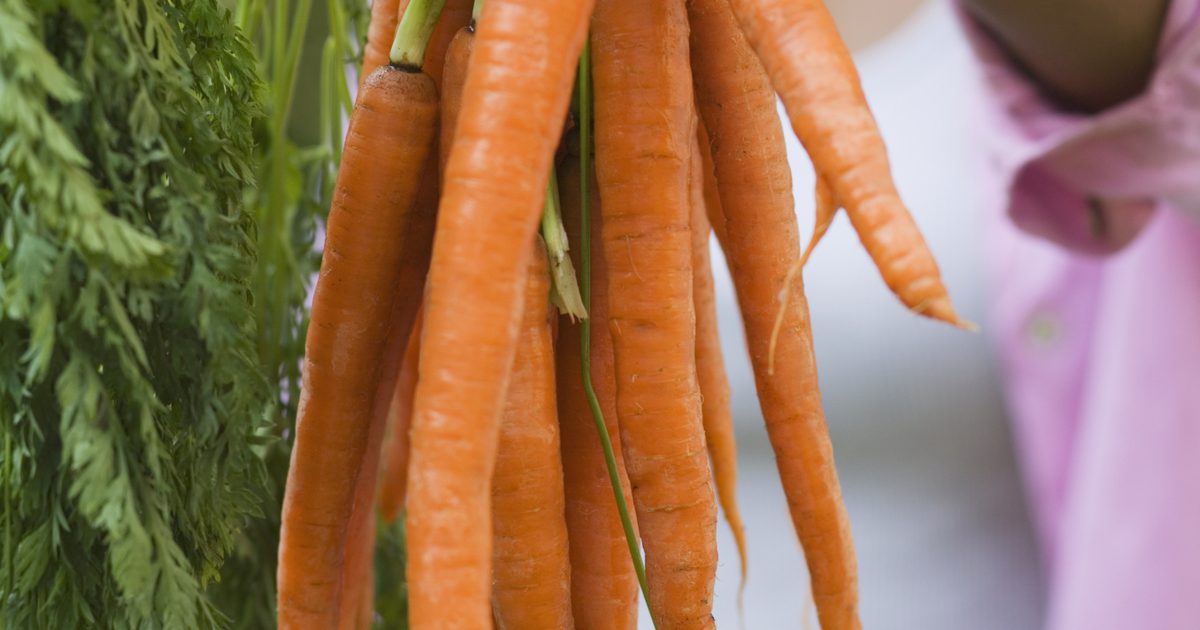 Was sind Gefahren von Juicing Karotten?