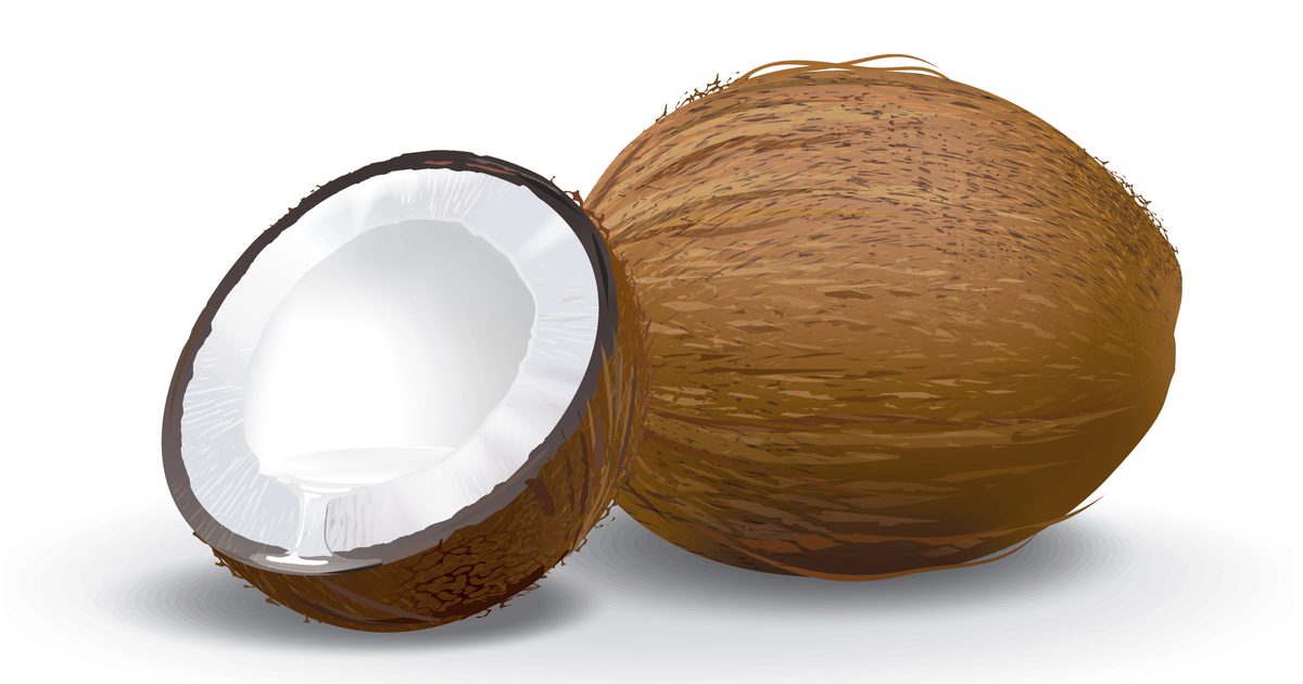 Hvad er sundhedsmæssige fordele ved desiccated kokosnød?