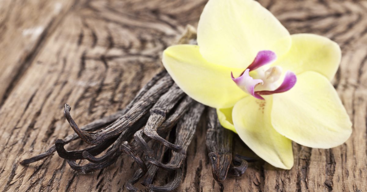 Was sind die gesundheitlichen Vorteile von Vanilleextrakt?