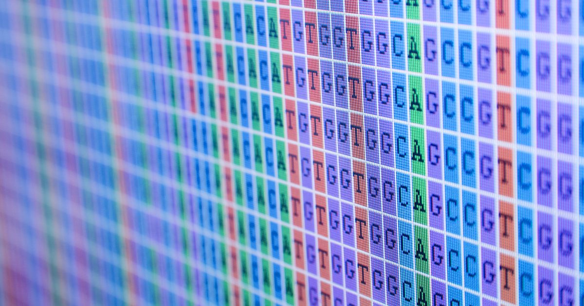 Wat zijn nucleotiden en welke voedingsmiddelen kunnen ze vinden?