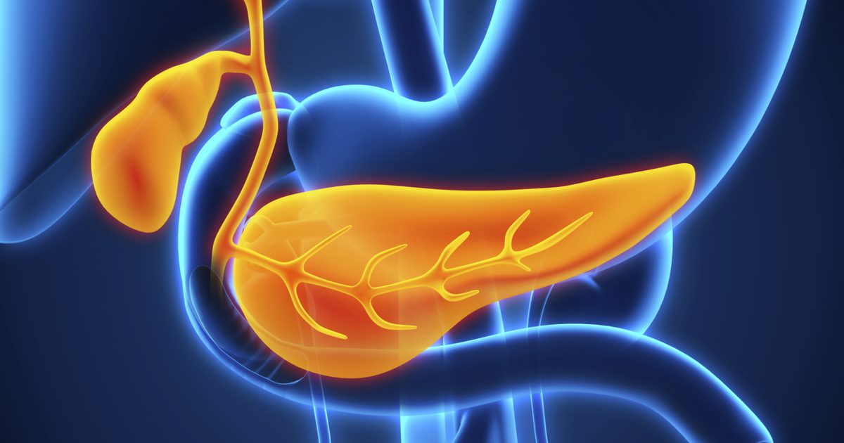 Hvad forårsager frigivelsen af ​​pancreasjuice og galde?