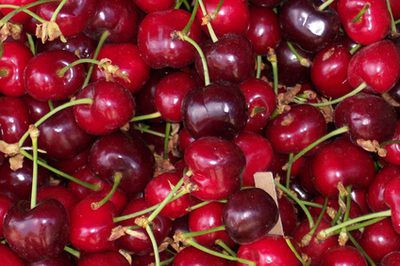 Jaké plody mají vysoký obsah antioxidantů?