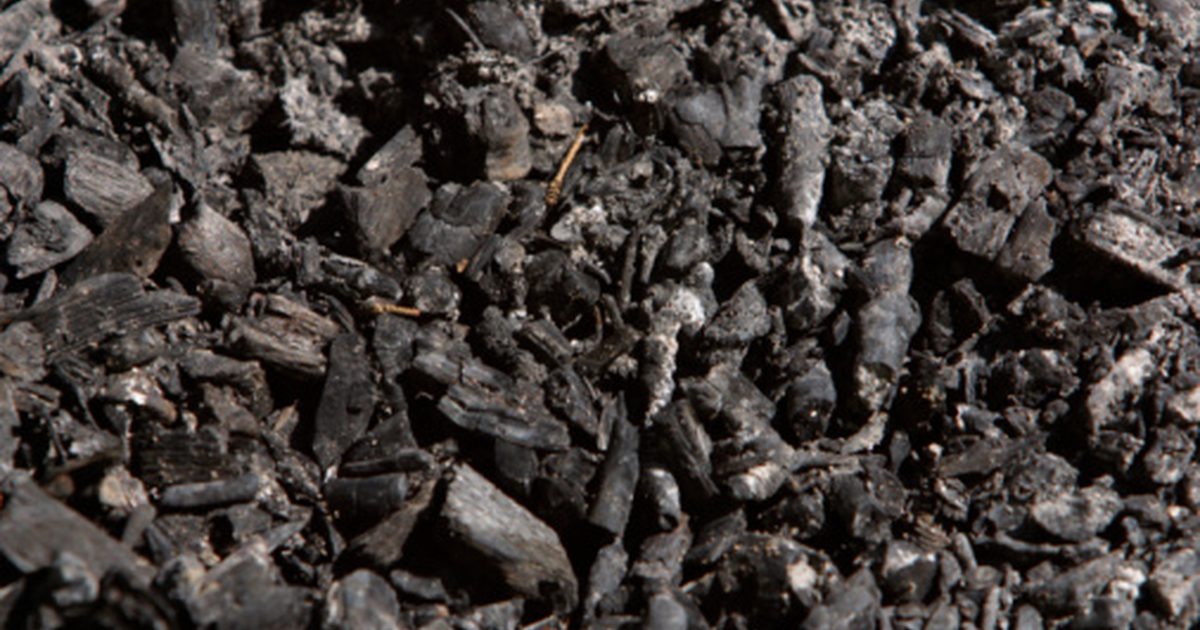 ما هو الفحم المنشط المكملات الغذائية المستخدمة؟
