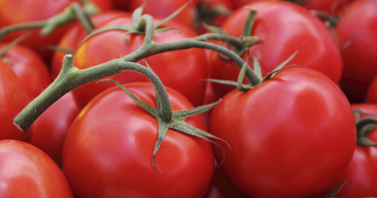 Co je alergická reakce na rajčata?