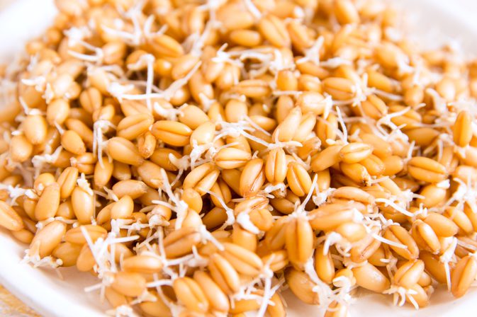 Какво е обезмаслено пшеничен зародиш?