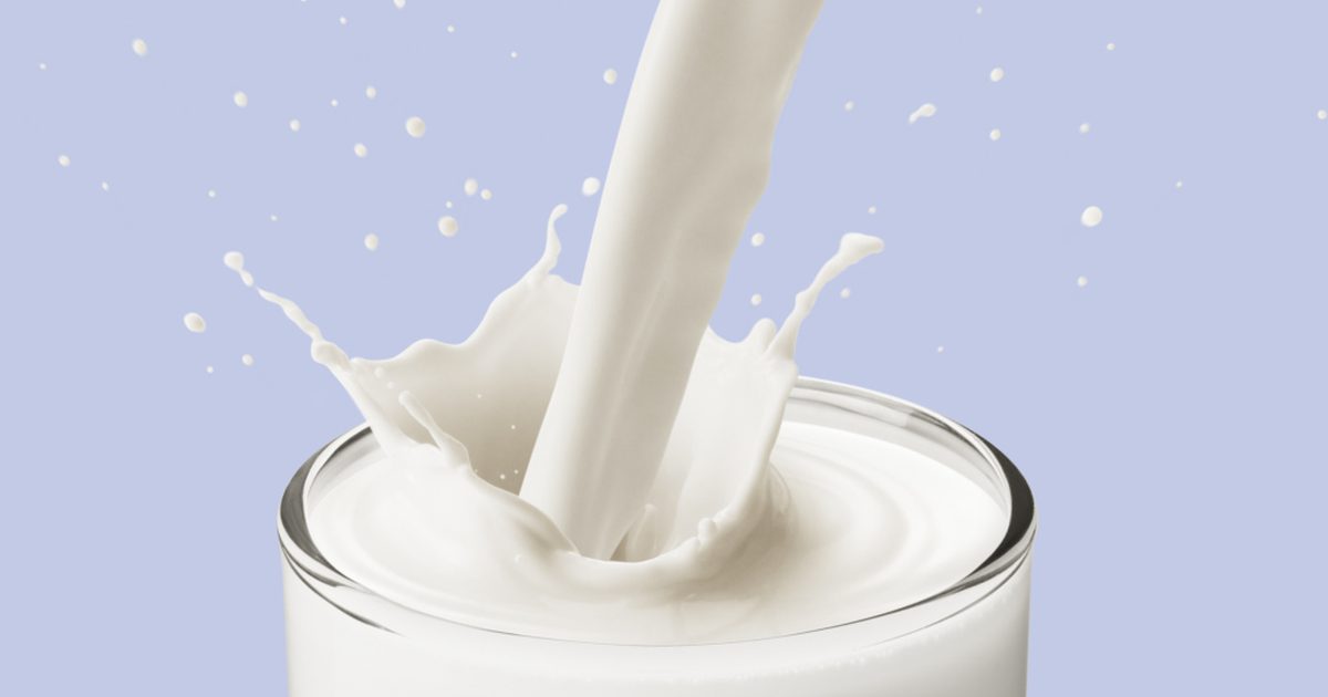 पूरे दूध की वसा सामग्री क्या है?