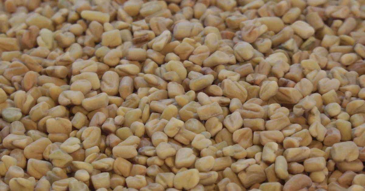Hva er Fenugreek Seed brukt til?