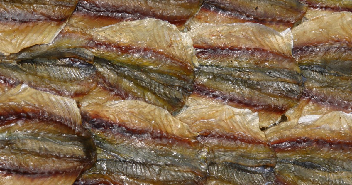 Vad är fiskoljainnehållet i ansjovis och sardiner?