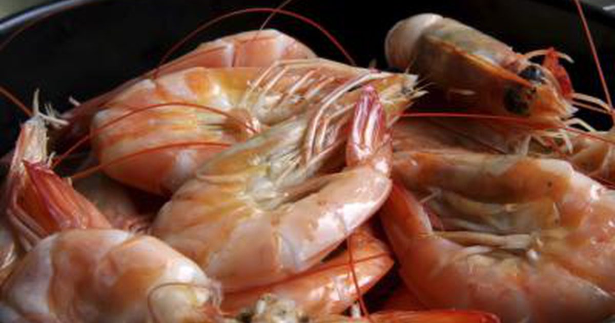 Was ist der Nährwert von Shrimp?