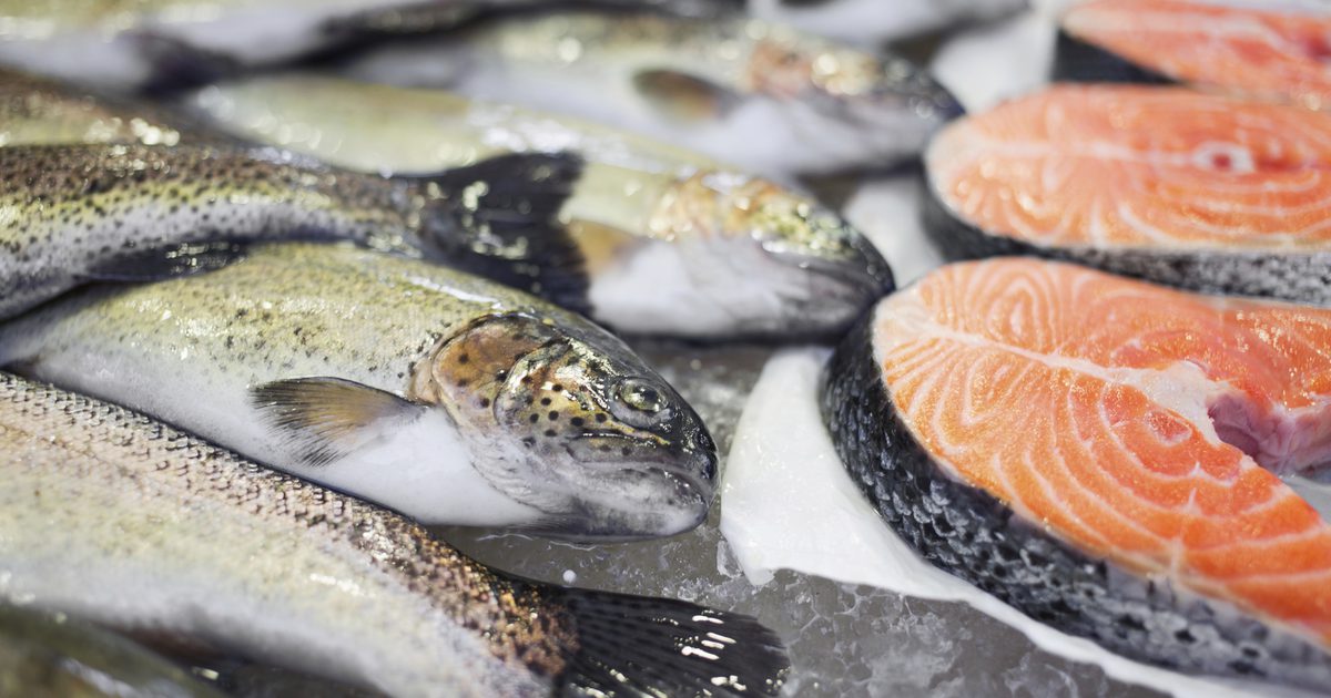 किस तरह की शीत जल मछली खाने के लिए स्वस्थ हैं?