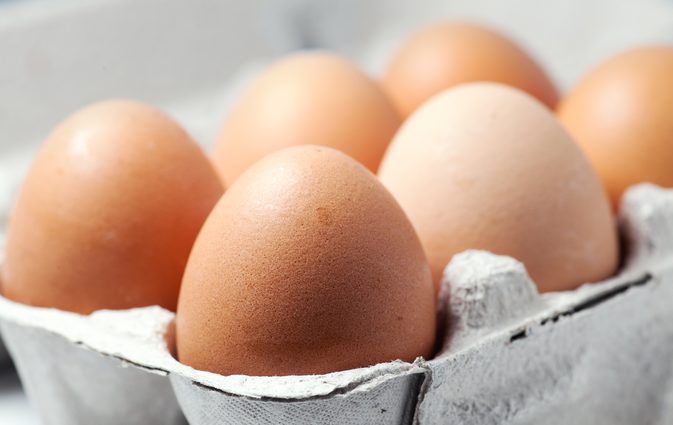 अंडे में प्रोटीन क्या पाए जाते हैं?