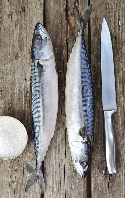 Hvilken fisk inneholder omega-3 fett?