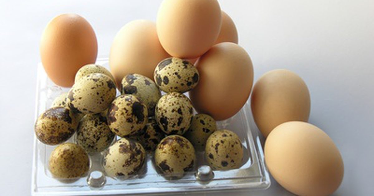 Vilka livsmedel borde du undvika om allergisk mot äggvita?