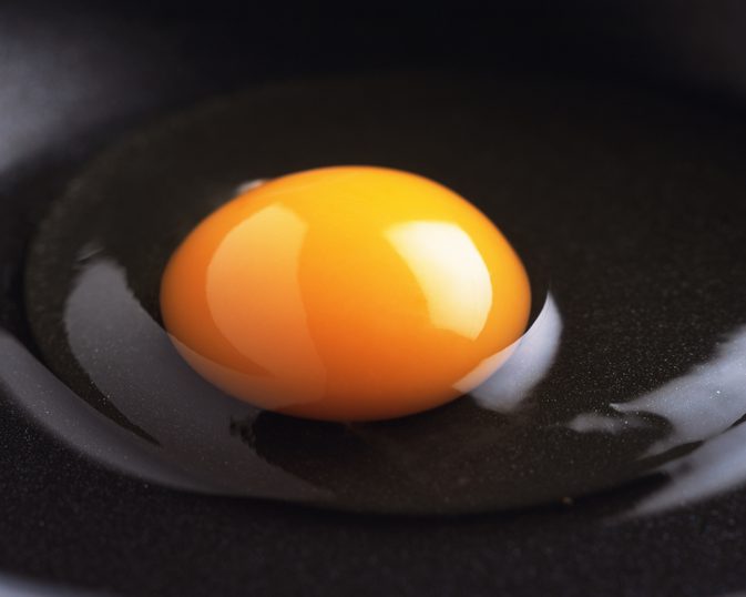 Kateri del jajca ima največjo količino beljakovin?