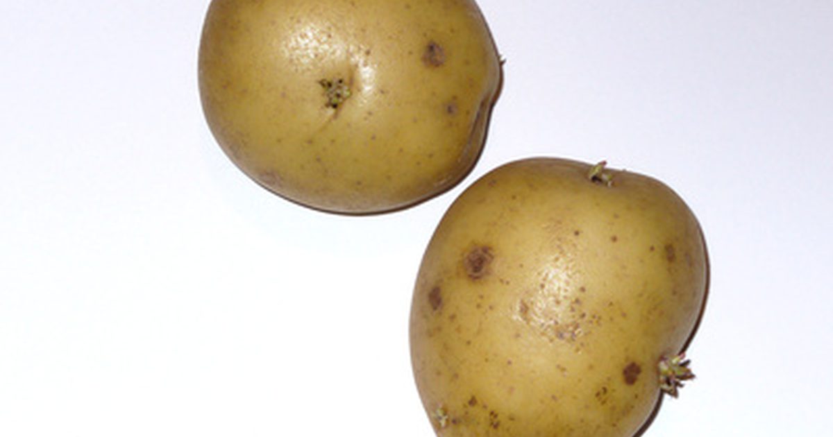 Yukon Gold Potato Nutrition
