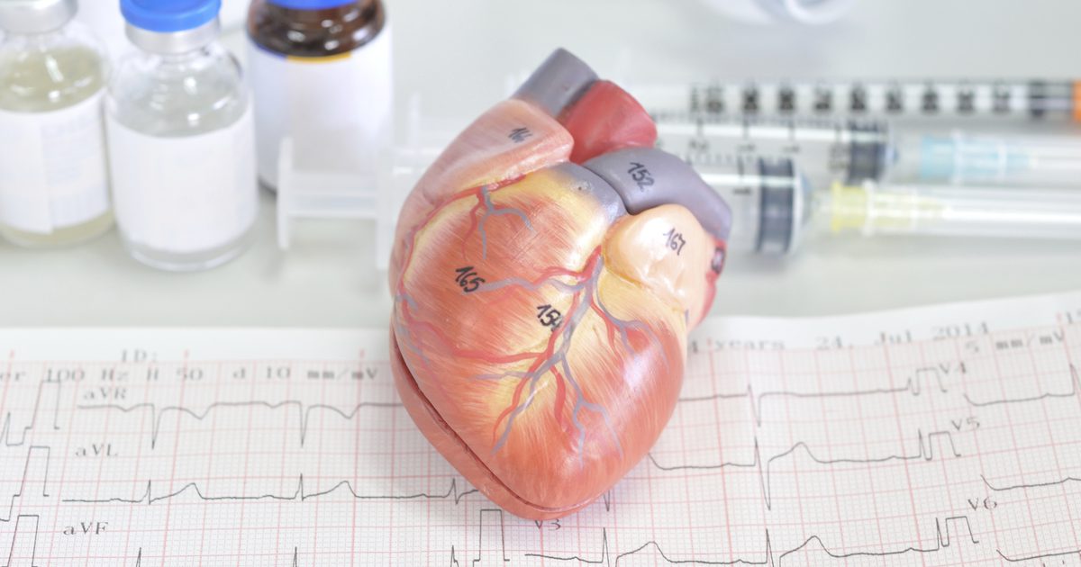 De 4 dele af det kardiovaskulære system