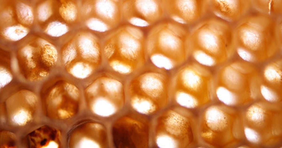 Výhody miestneho surového medu