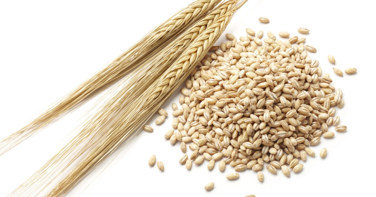 Ефекти и странични ефекти на ечемичното зърно
